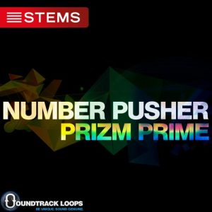 128 BPM Key Gm – Number Pusher – Electro House DJ Stems