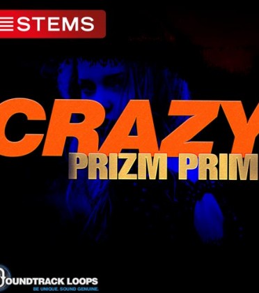 125 BPM Key Am – Crazy – House DJ Stems