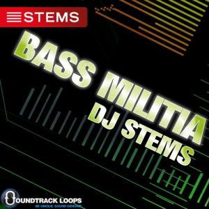 140 BPM Key Em – Bass Malitia – Dubstep DJ Stems
