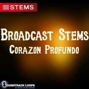 124 BPM Key Gm – Corazon Profundo  – Latin Pop DJ STEM