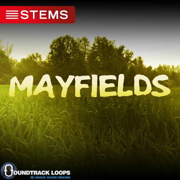 82 BPM Key Bmin – Mayfields – DJ STEM – Trip Hop