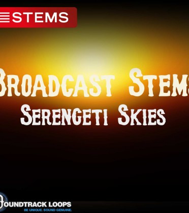 124 BPM  Key C – Serengeti Skies  – Pop DJ STEM