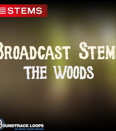 124 BPM  Key Cm – The Woods  – Pop DJ STEM