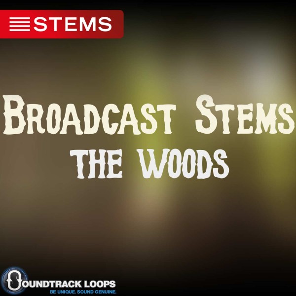 124 BPM  Key Cm – The Woods  – Pop DJ STEM