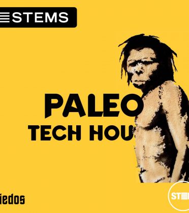 125 BPM Bmin Tech House STEMS – Paleo