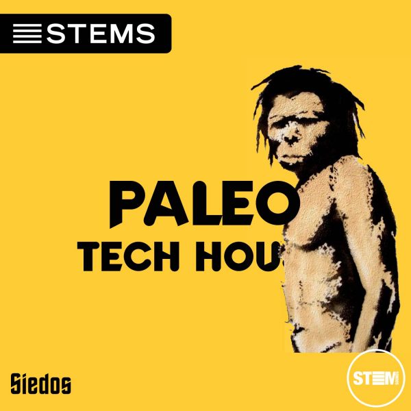 125 BPM Bmin Tech House STEMS – Paleo